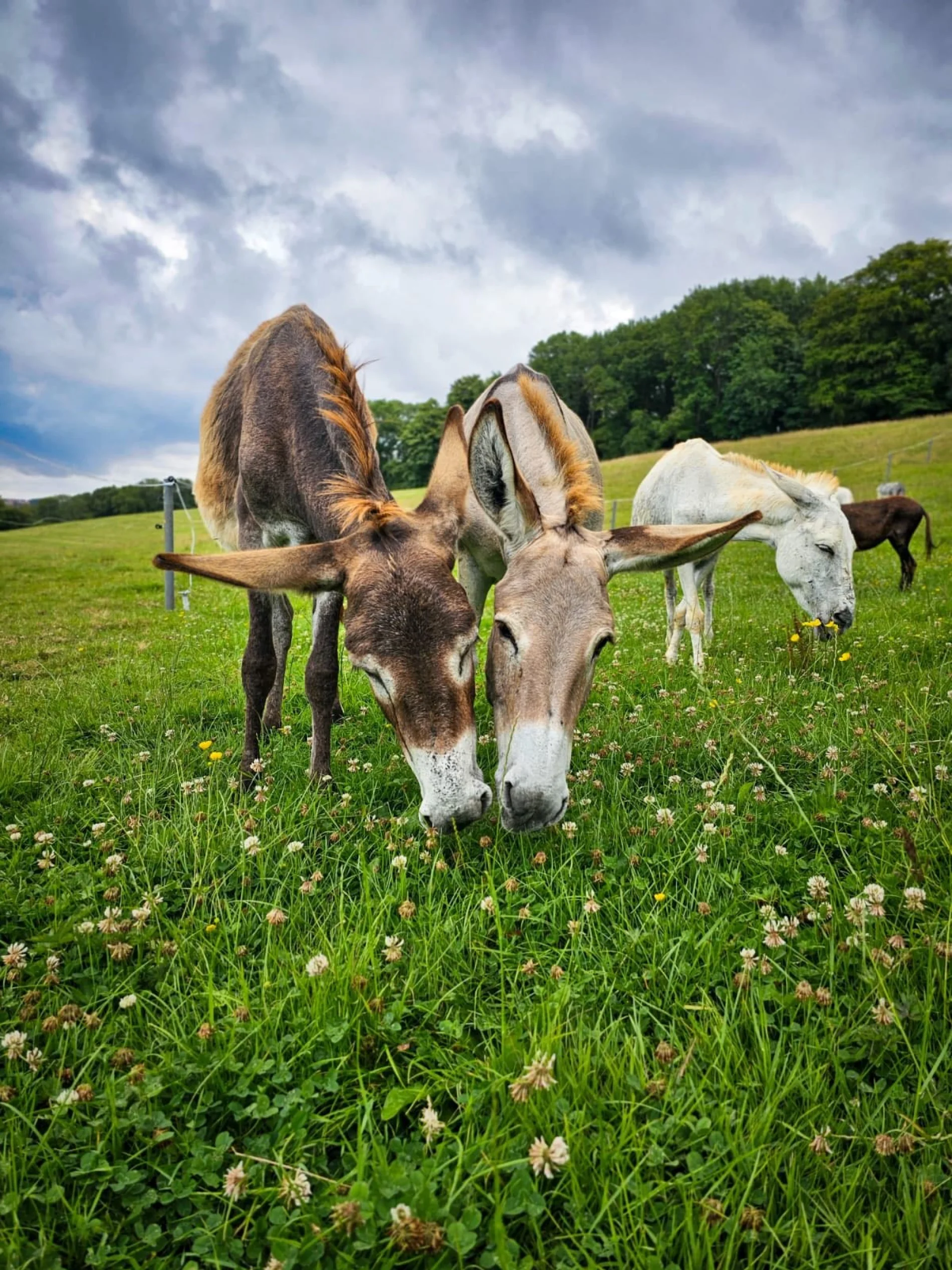עשייה קטנה עם משמעות גדולה